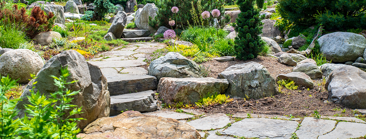 Landscaping showing a stone path lined with larger stones and various shrubs and trees.